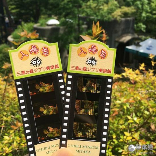 動漫 哆啦A夢 面包超人 龍貓
