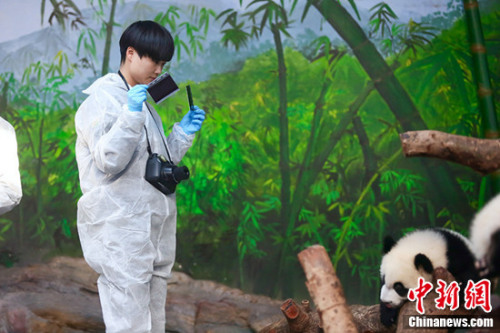 真人秀火爆背后的故事:薛之谦表现卖力 谢娜曾发飙