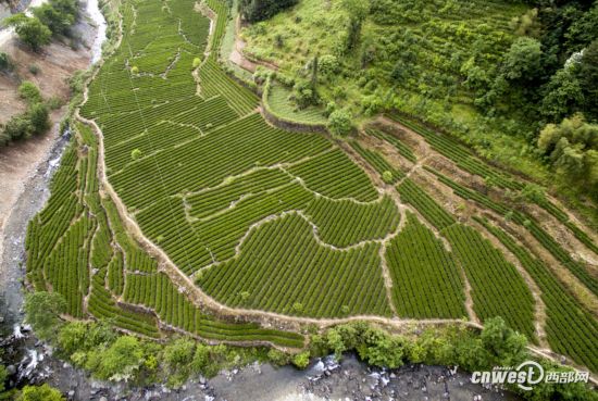 紫阳全景高清