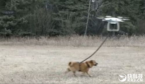���磡���������˻��޹� ���������������ʧ(ͼ)