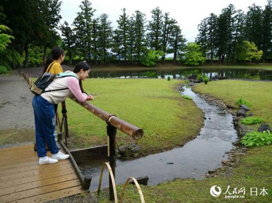 ��ǲˮ����