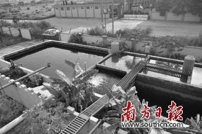 惠州今年將新建200座以上農村生活污水處理設施