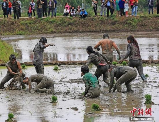 湖北农民传承田祭遗风 泥地跑男爆笑上演
