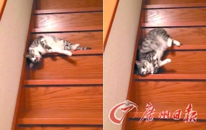 �����˲�������¥ֱ�ӡ��ɡ��Ż���ȥ