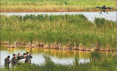 人民日报:盐城坚持湿地保护 让麋鹿回家鹤长鸣