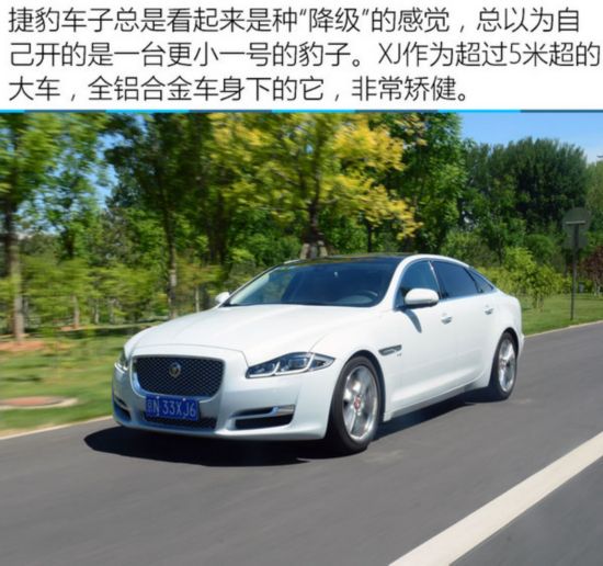 Լ¿ݱXJL X351