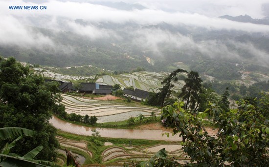 Photo taken on May 27, 2016 shows terraces in clouds in Fengmu Miao camp in Rongshui Miao Autonomous County in south China's Guangxi Zhuang Autonomous Region.