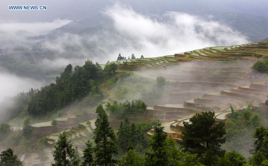 Photo taken on May 27, 2016 shows terraces in clouds in Fengmu Miao camp in Rongshui Miao Autonomous County in south China's Guangxi Zhuang Autonomous Region.