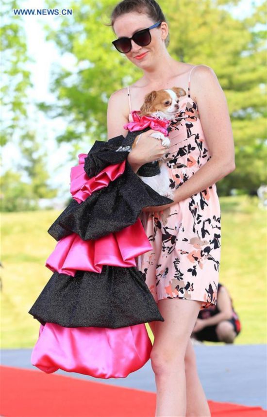 A model displays a dressed up pet dog on stage during the fashion show event of the 2016 Woofstock at Woodbine Park in Toronto, Canada, May 28, 2016. 