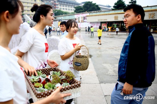 世界无烟日 西安街头绿植换香烟提倡无烟生活