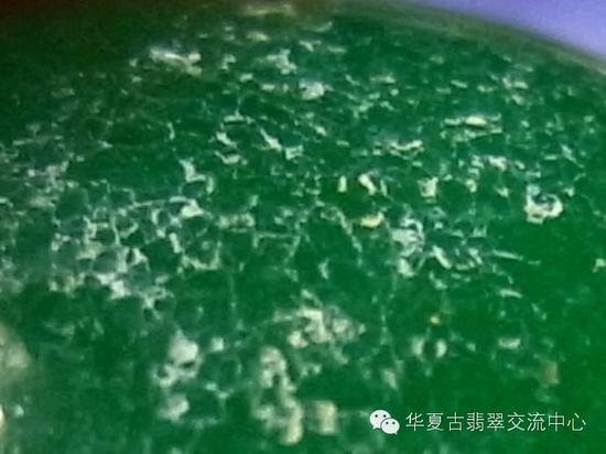人口染色_人口普查