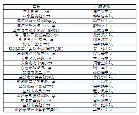 盐城22支队伍被团市委命名为英雄中队