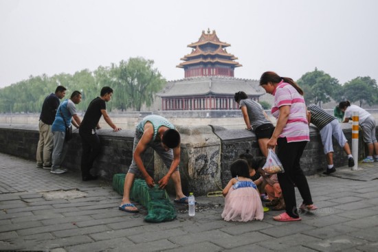 故宫护城河鱼苗遭游客私自捕捞 小鱼苗都遭殃