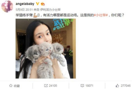 Angelababy自爆美臂秘訣——手臂緊致全靠“舉貓貓”