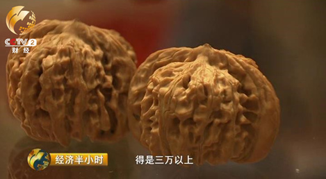 文玩核桃价格暴跌从数千到几十 盲目种植引危