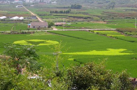 一周财经:CPI同比涨幅回落 多地下调公积金缴存比例