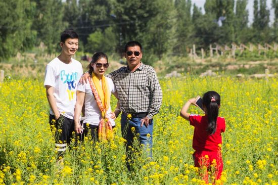 敦煌市休闲观光旅游农业发展迅速