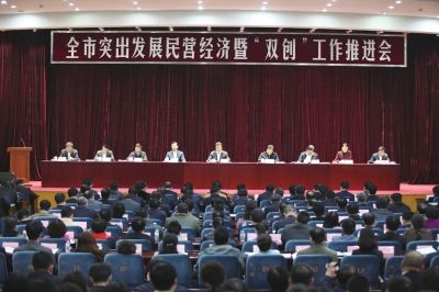 壮大民营经济总量规模_经济(2)
