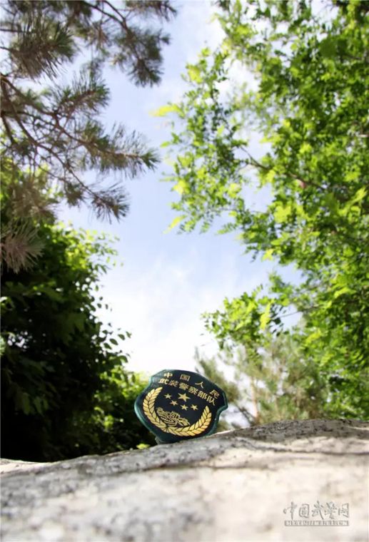 武警新臂章做手机壁纸,这种风格你喜欢吗?(组