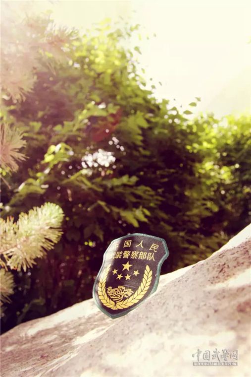 武警新臂章做手机壁纸,这种风格你喜欢吗?(组