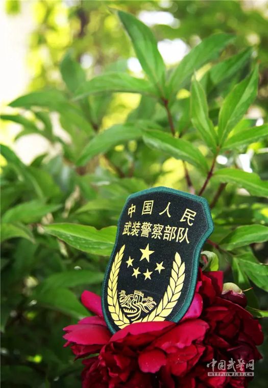 武警新臂章做手机壁纸,这种风格你喜欢吗?(组