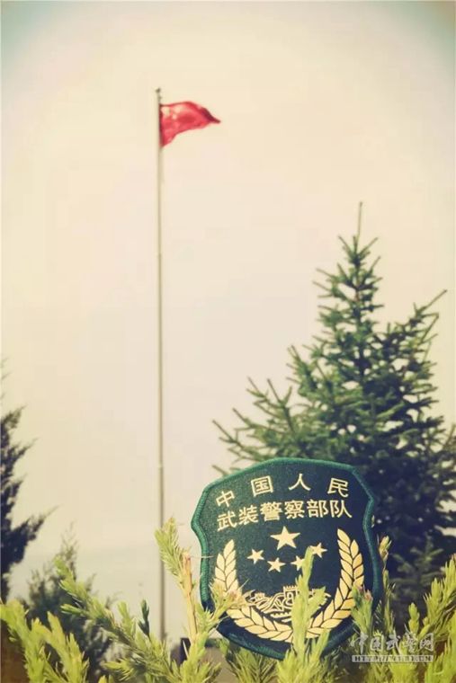 武警新臂章做手机壁纸,这种风格你喜欢吗?(组