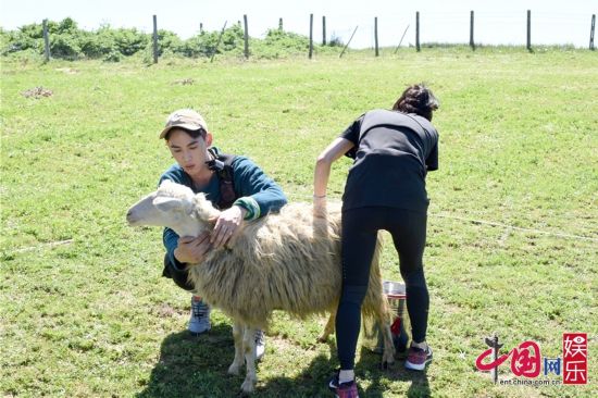 李小鹏为爱妻退赛网友不舍 盛一伦《非凡搭档