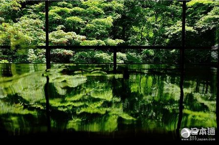 日本 旅游 京都 青森 沖繩 千葉