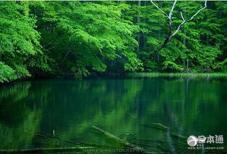 日本 旅游 京都 青森 沖繩 千葉