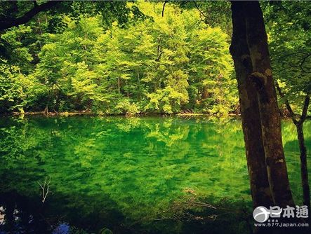 日本 旅游 京都 青森 沖繩 千葉