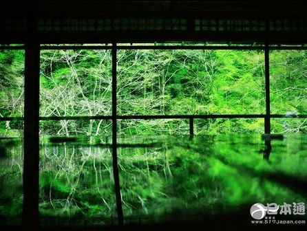 日本 旅游 京都 青森 沖繩 千葉