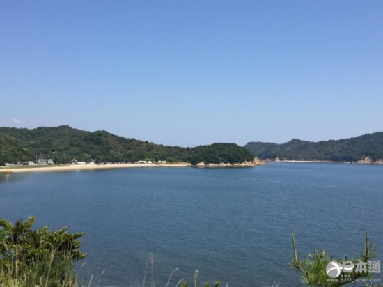瀨戶內海 直島 藝術祭 草間彌生