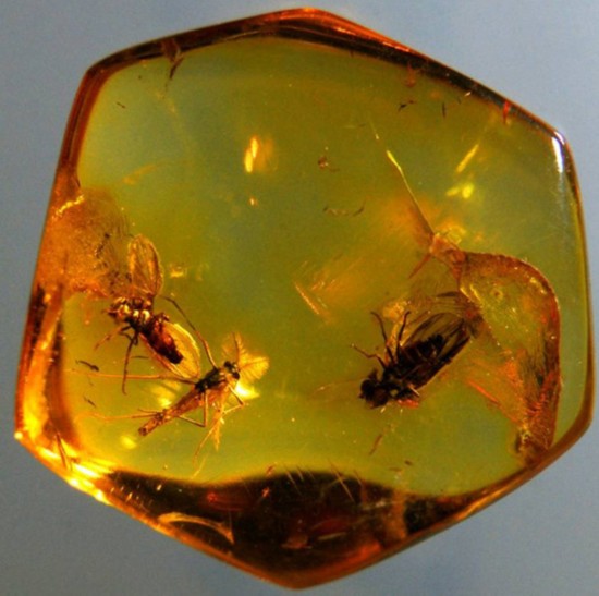 跟着习主席出访:在波兰,与美食和艺术来一场浪