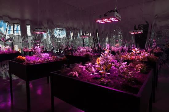 Solar Grow Room÷ Τ˹أ2016