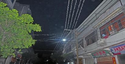 成千上萬隻燕子排在電線上