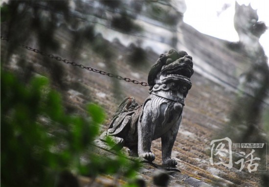 成都杜甫草堂房顶暗藏神兽 其中一条被铁链缚