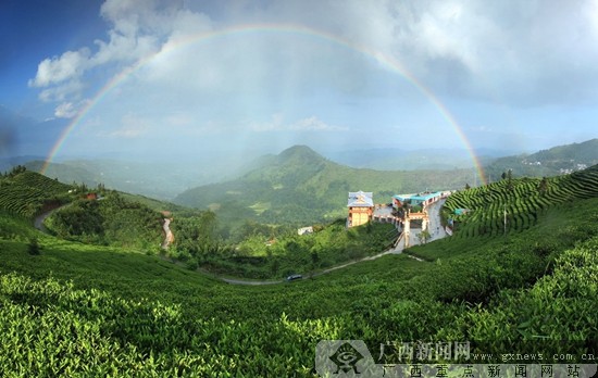 乐业:背靠“长寿资源”打造乐生活