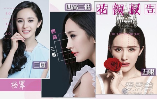 10位女星"黄金比例脸 赵丽颖范冰冰美中不足(组图)