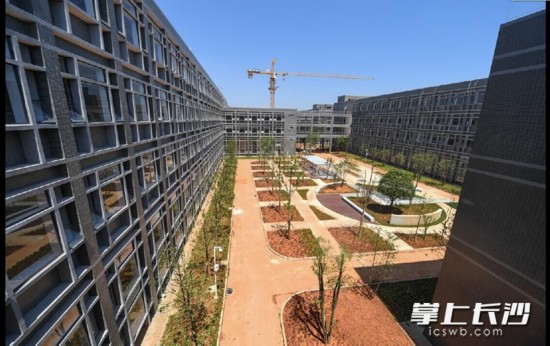 湖南省大学科技产业园综合服务楼今日封顶