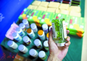 黄绿医生卖保健品 两千多人上当受骗