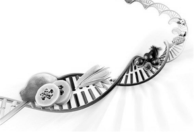 诺奖得主联名为转基因作物发声:正视事实 反对