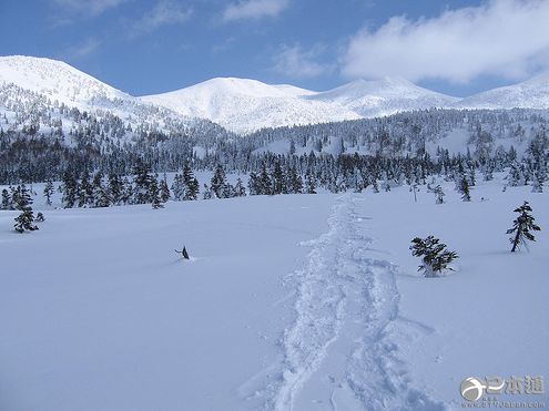 夏日想雪!真想来一场纯白之旅