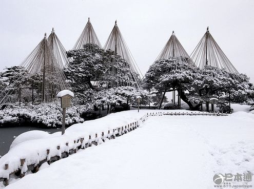 夏日想雪!真想来一场纯白之旅