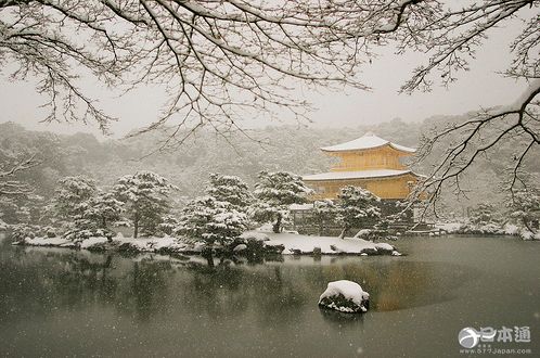 夏日想雪!真想来一场纯白之旅