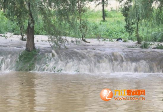 大雨倾盆 九江八里湖湖水溢出 不少地方积水严