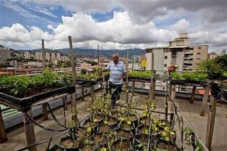 委内瑞拉食物短缺 市民在自己楼顶上种起蔬菜