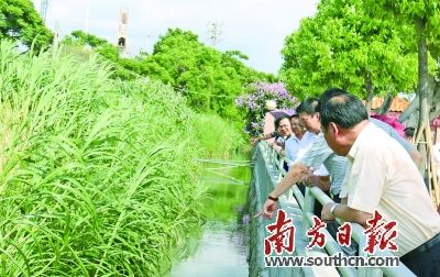 汕头立法推动城乡生活垃圾管理