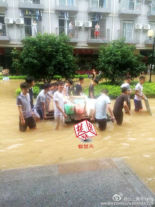 武汉高校男生暴雨中集体为女大学生送饭(图)