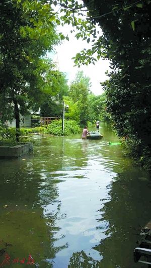 武汉水方退 豪雨袭南京