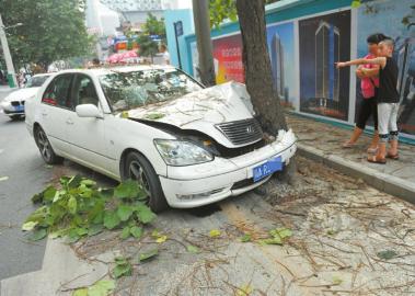 外地游客到成都旅游 实习期开车撞上树受伤